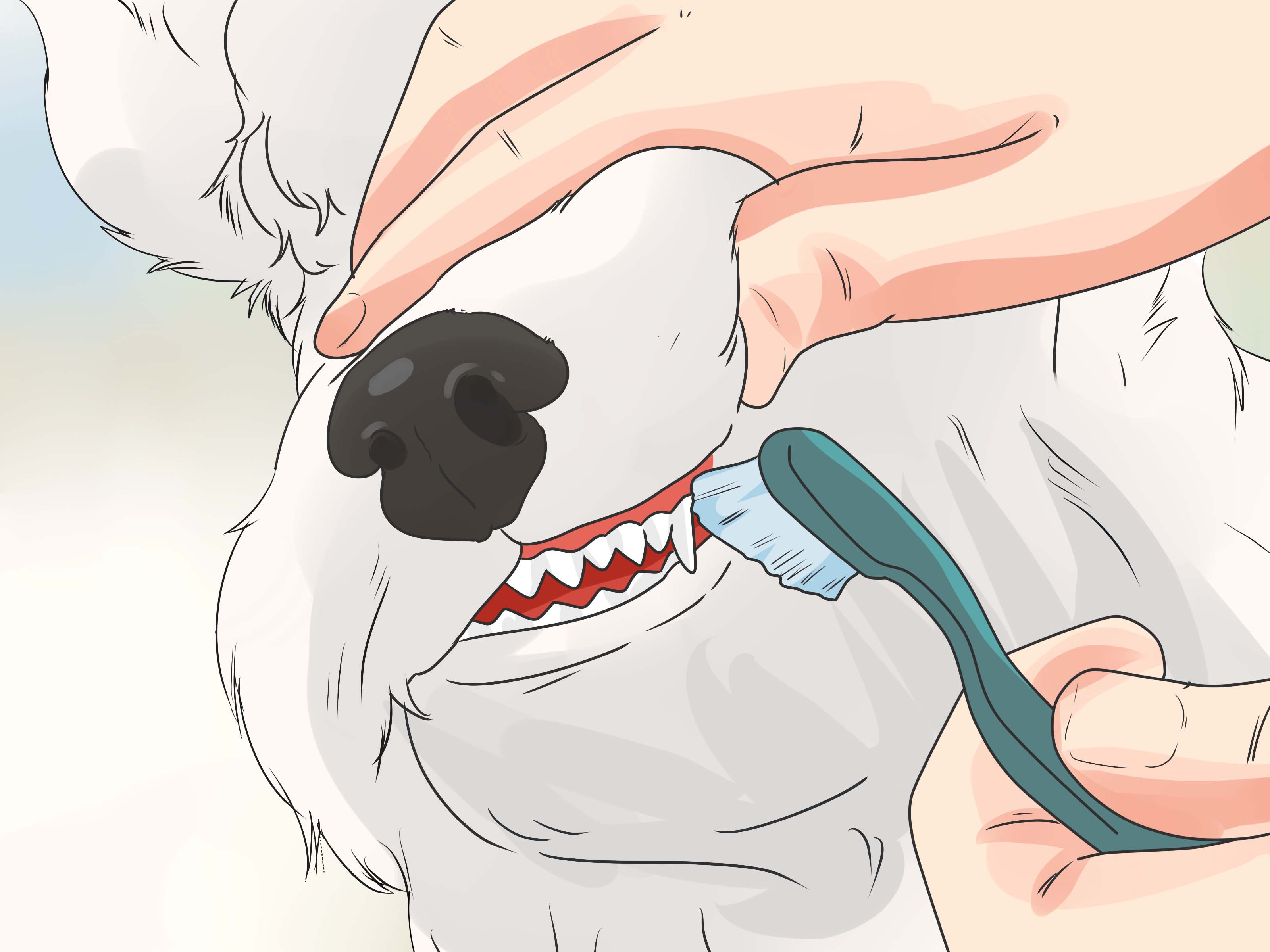 how to write a manual for caring for dogs