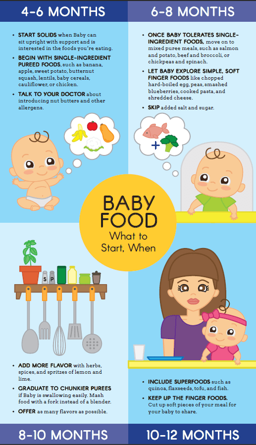 introducing solids baby guide nz