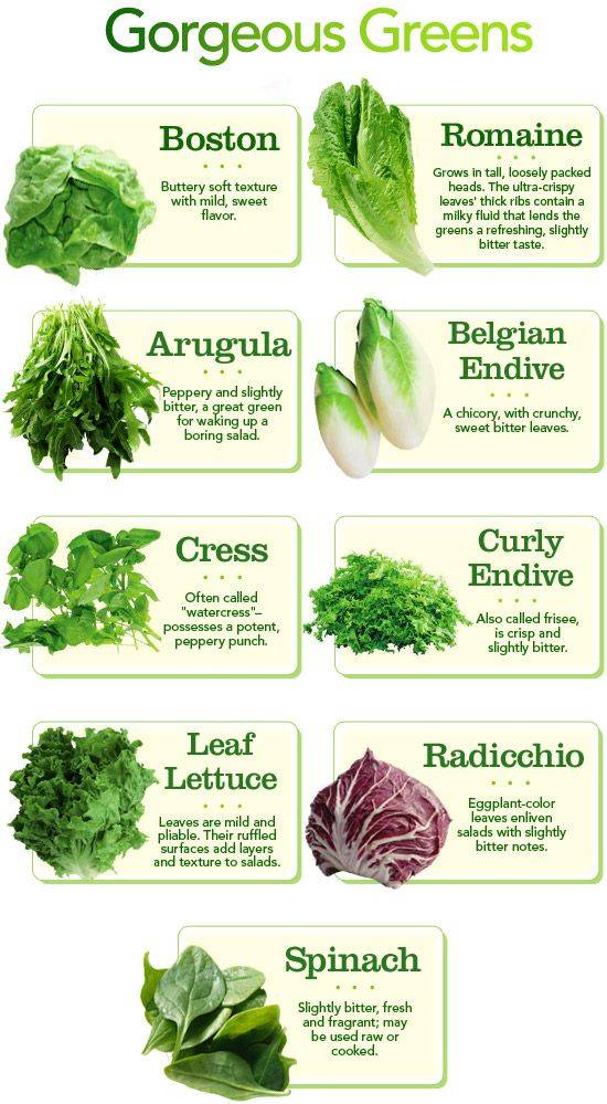 lettuce varieties guide