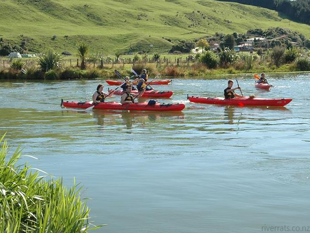 kayaking wairoa river guide