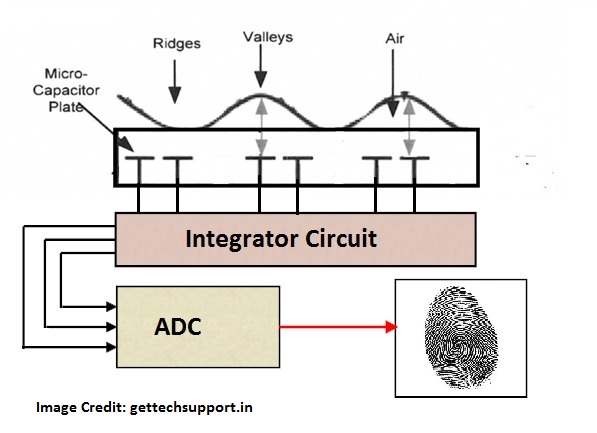fingerprint sensor working principle pdf