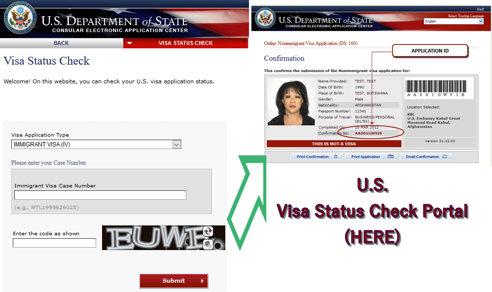 how to check the visa application status