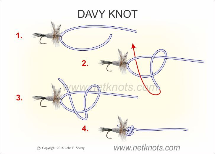 fly fishing knots pdf