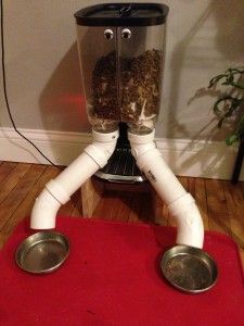 instructions for a cat feeder