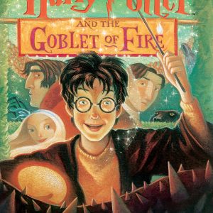 harry potter and the goblet of fire parents guide