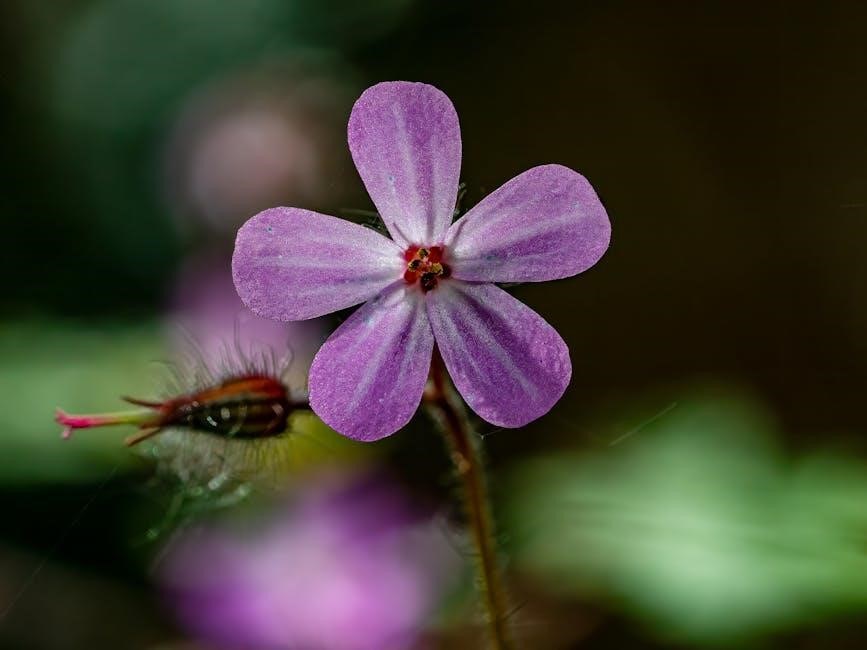 iliad robert fagles pdf